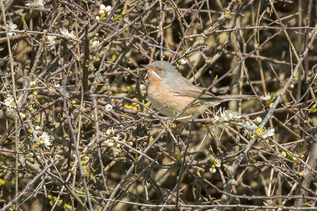 I *finally* played Harbour Town. Here's why you should too * Challenging Layout: Unlocking Harbour Town's Strategic Foes