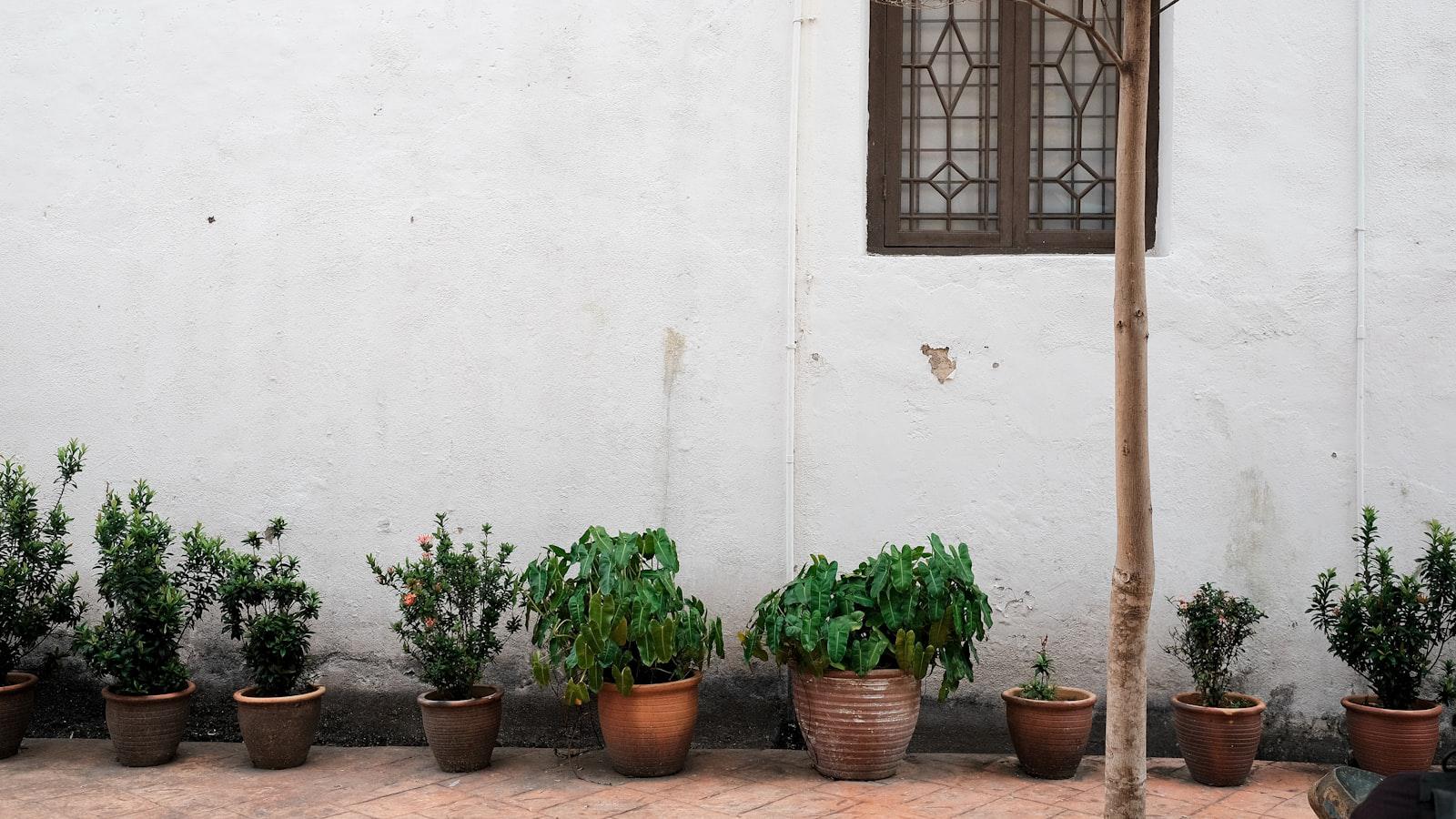 'F---ing bull----': LIV golfer rages after relatable tree trouble spoils round - Seeking Solutions for Tree Interference