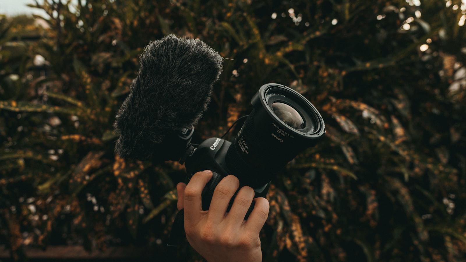 Pro launches shot toward crowd. Then fan makes regrettable rules blunder - Understanding the rules governing errant shots