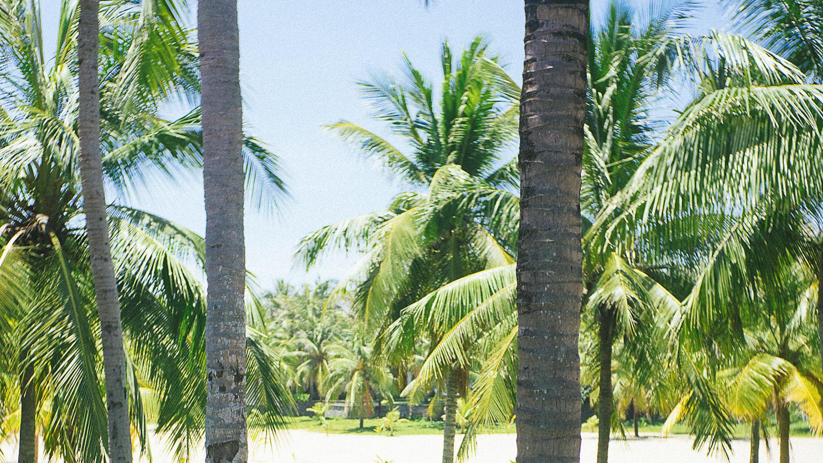 Zurich Classic betting guide: 5 picks our expert loves this week Seasoned Veterans to Watch