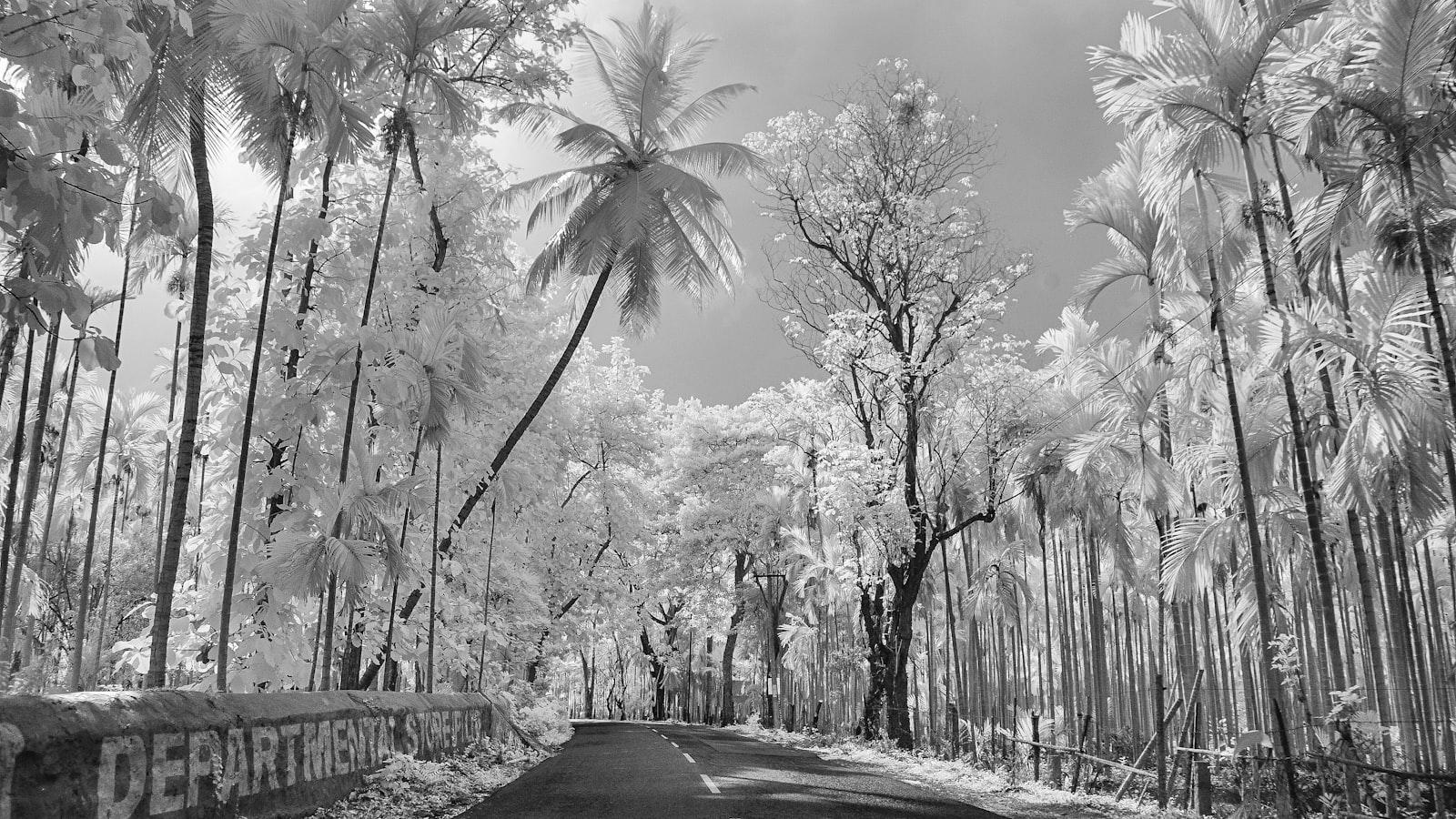 Rules Guy: My distracted match-play partner accidentally picked up my ball. What now? Rule 15: Relief; When Ball May be Lifted
