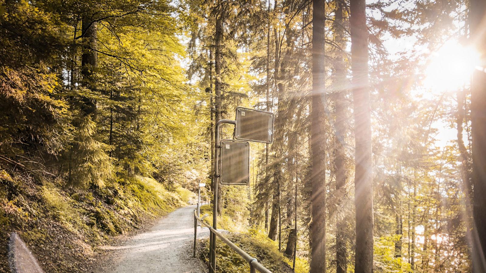 Longtime friends McIlroy, Lowry team for Zurich win - McIlroy-Lowry Chemistry Fuels Zurich Classic Triumph