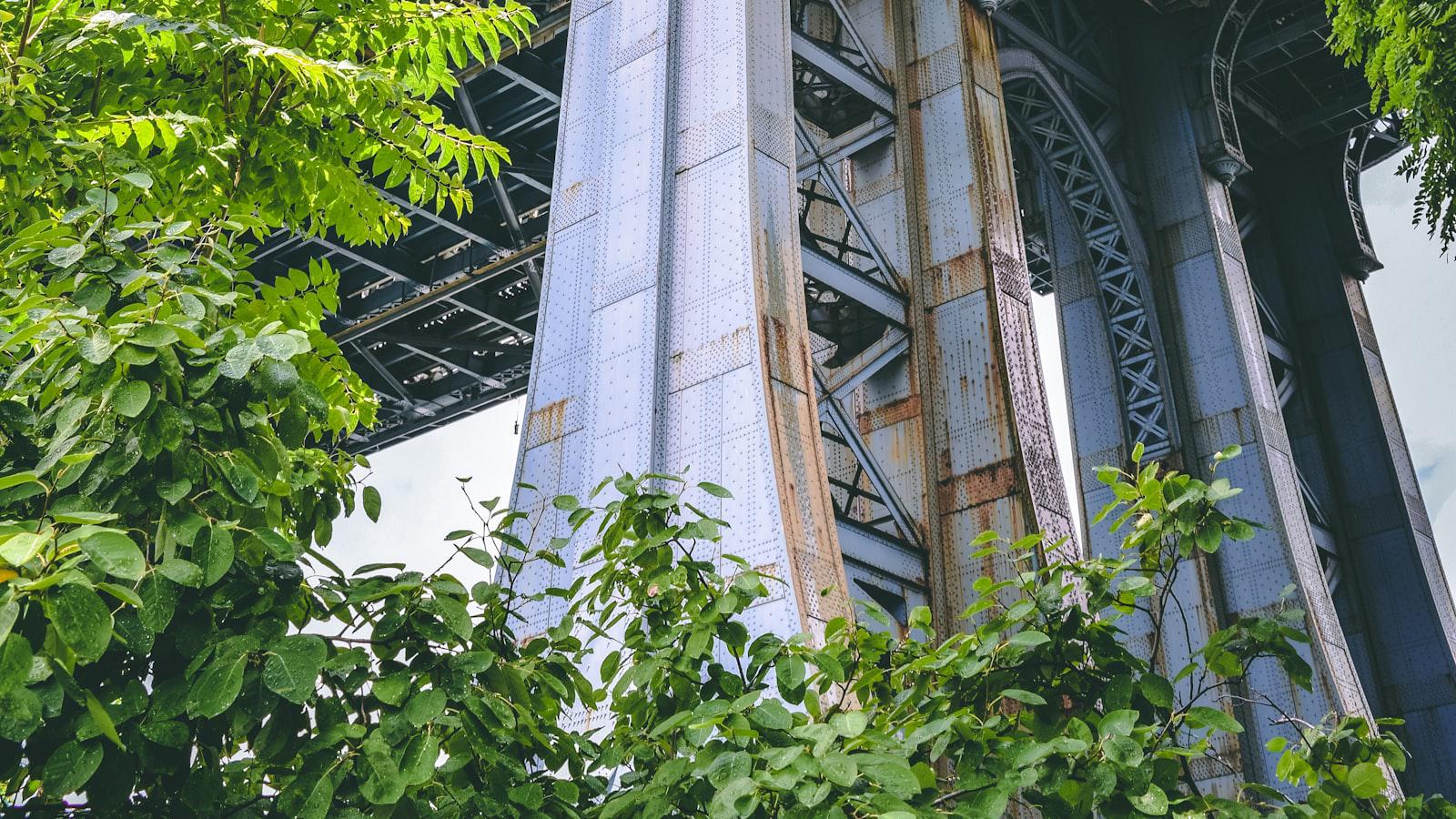 2024 CJ Cup Byron Nelson odds: Our long-shot pick eyes his second PGA Tour win - Betting Recommendations: Exploring Value Bets and Projected Outcomes