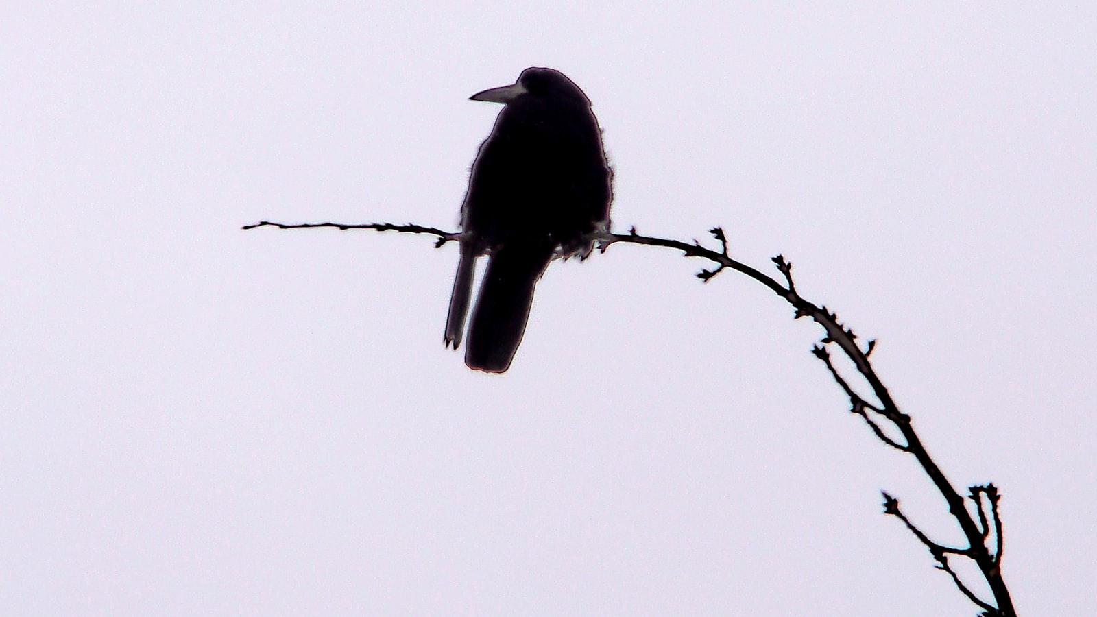 Jack Nicklaus shares 5 setup keys for perfect aim and accuracy - Achieving Optimal Balance and Tempo