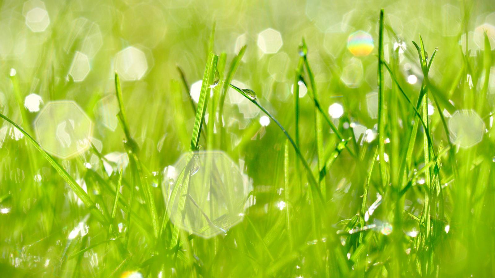 Green repeats as LPGA JM Eagle LA champion - JM Eagle's Legacy Secured: Green's Repeat Victory Highlights Tournament's Prestige