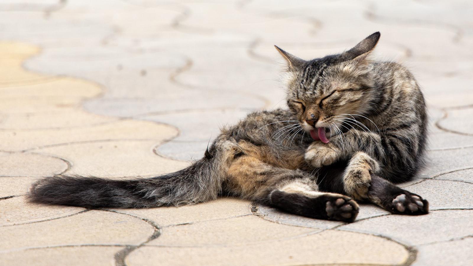 The most underrated course designers, according to Tom Doak Understanding Tom Doak's Concept of Strategic and Sustainable Golf Courses