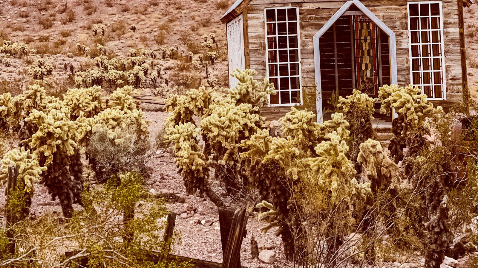 PGA Tour: Zalatoris withdraws from Byron Nelson - Zalatoris' Absence Leaves Byron Nelson Field Wide Open