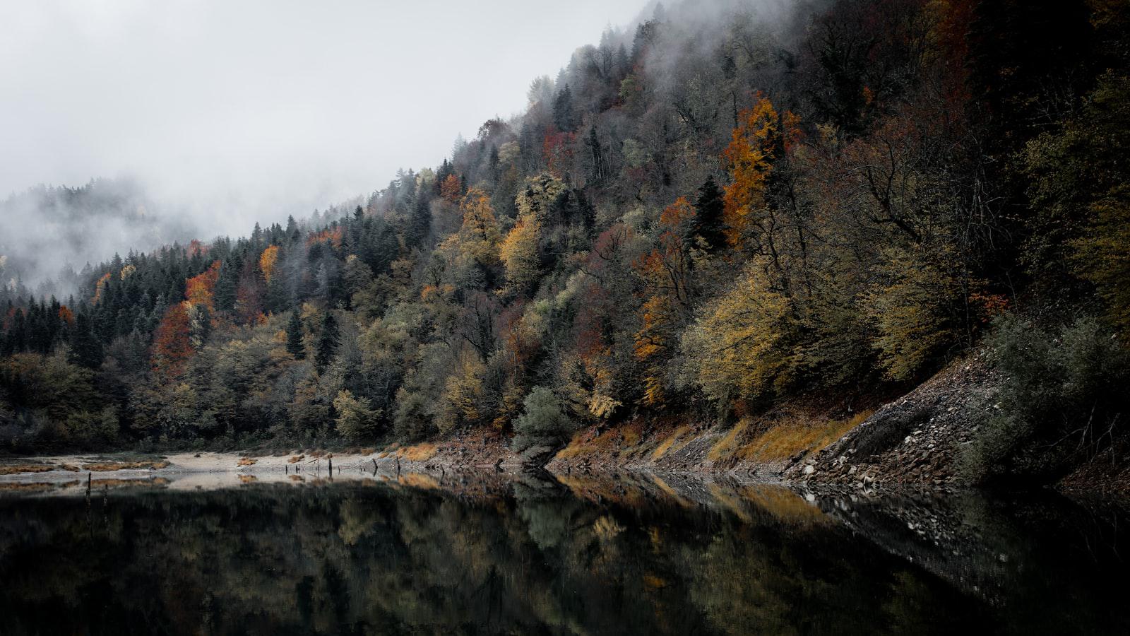How Jordan Spieth’s bachelor party led to Justin Thomas’ ‘most impressive' win Woods' Vision for a New Era in Golf