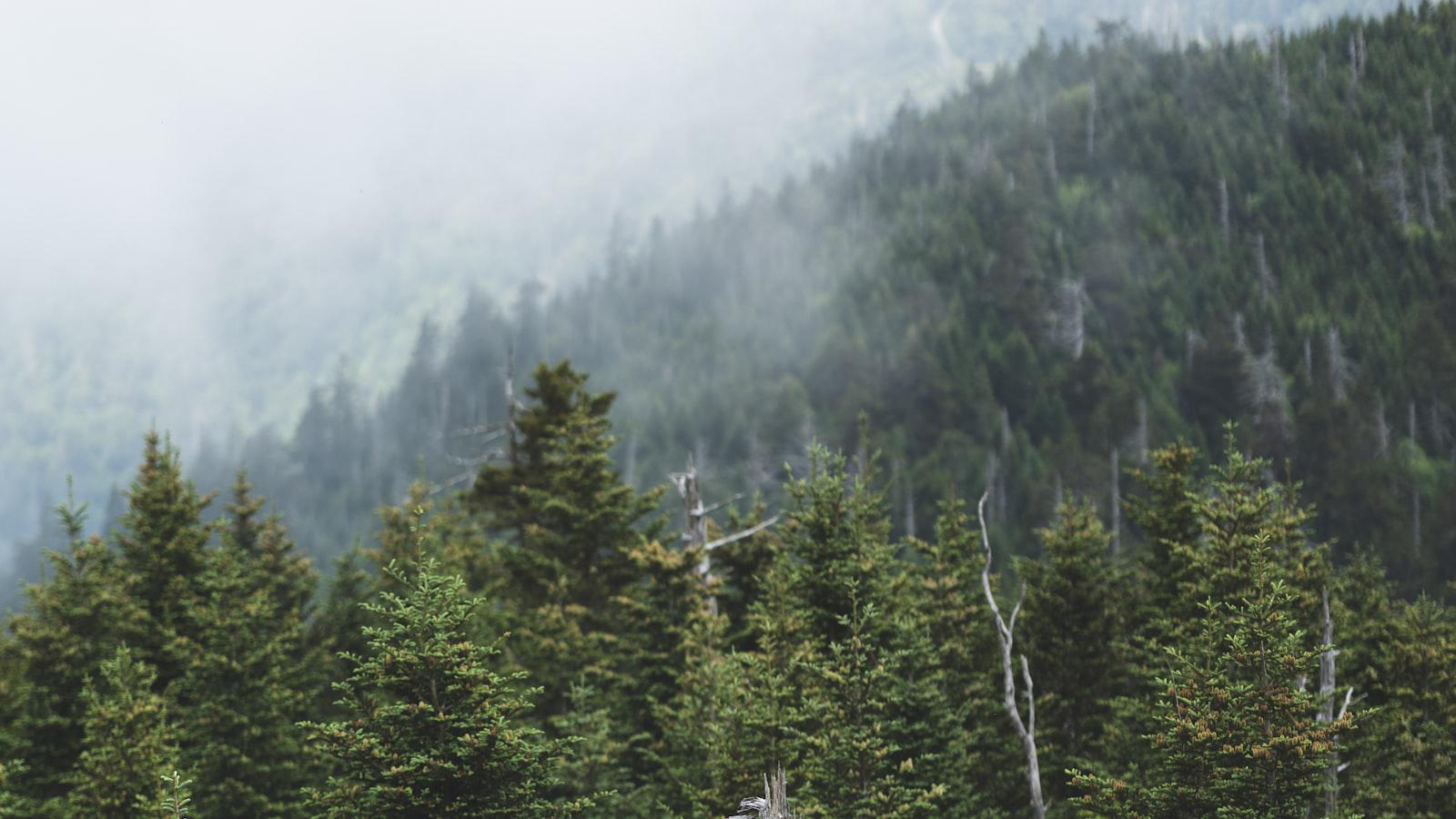 This pro's bizarre grip could be coming to the PGA Tour soon - Putting with the Finger Lock: An Inside Look at Bryson Dechambeau's Unconventional Grip
