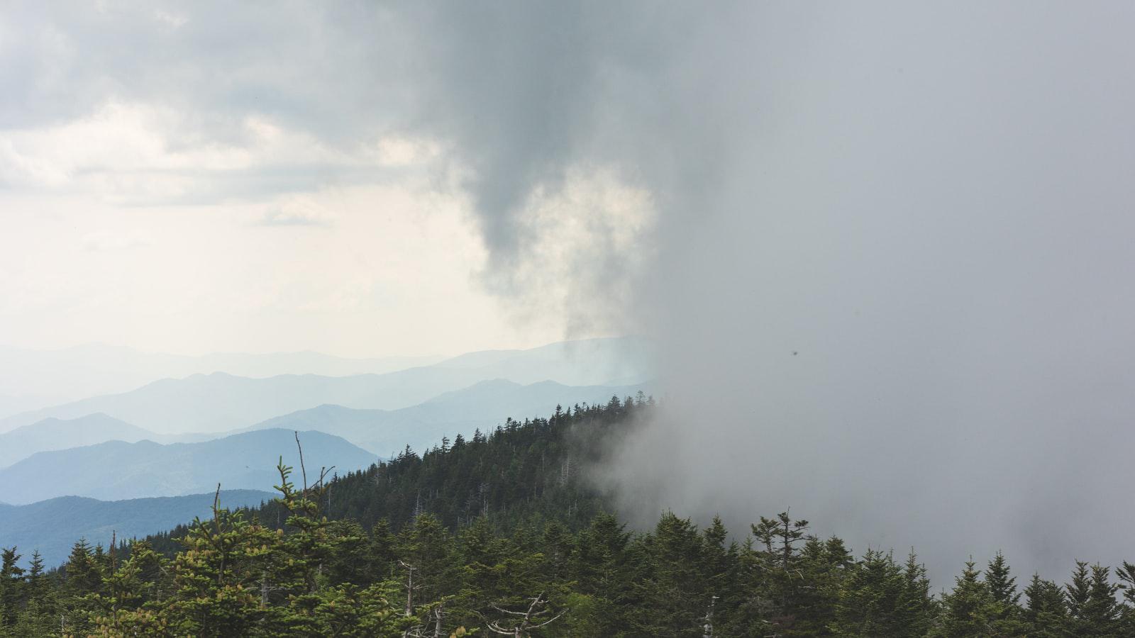 'Daddy, did you make the cut?': Pro answers his kids' tough questions with 8th PGA Tour win 2. Winging It with Wisdom: Spiranac's Open and Honest PGA Strategy