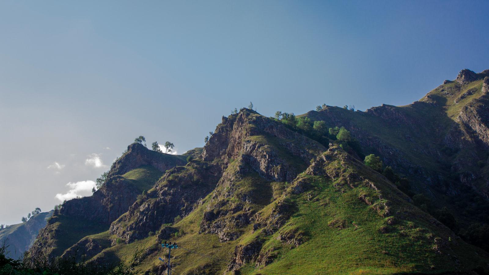 The secret to Sea Pines Resort's truly smokin' oysters - Where the Sweet and Salty Merge: The Unique Terroir of Sea Pines Resort's Oysters