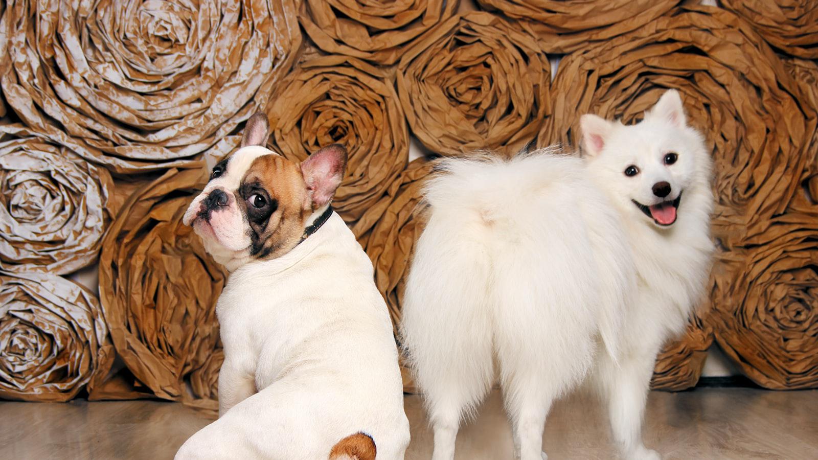 Explaining what 'short-sided' means — and why you need to avoid it - What is Short-Sided?