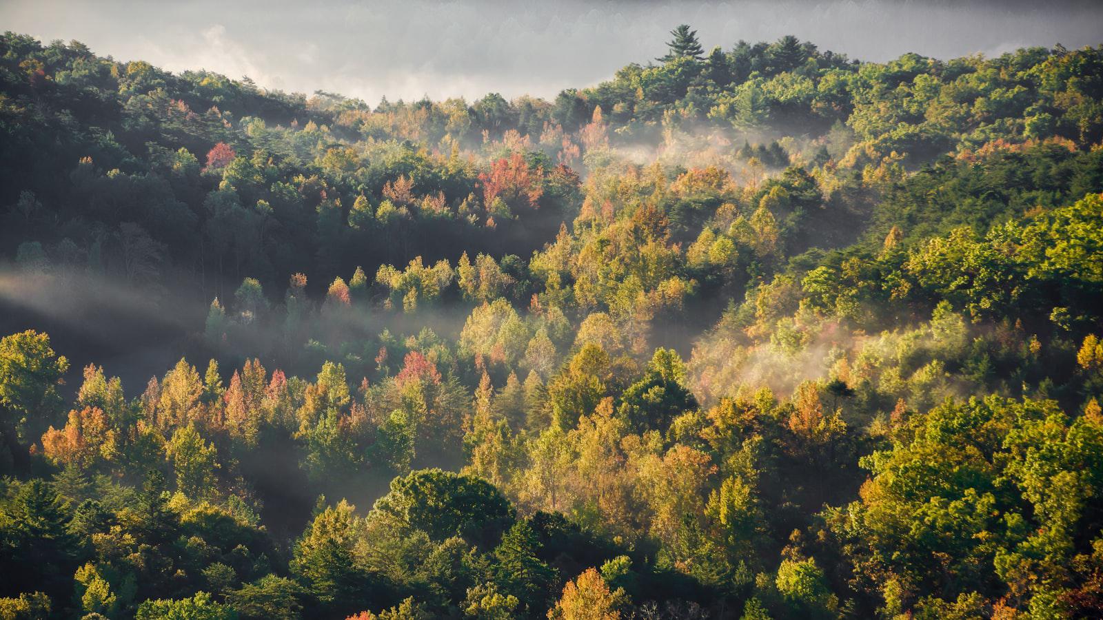 Tiger Woods' 'treasured' Verne Lundquist tribute needed only 8 words Preserving the Memory: Recommendations for Honoring Lundquist's Contribution