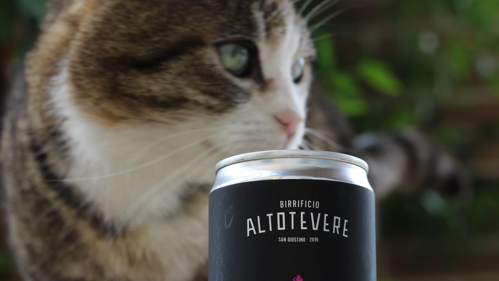 Report: Tiger gets $100M, Rory $50M for loyalty Report: Tiger gets $100M, Rory $50M for loyalty