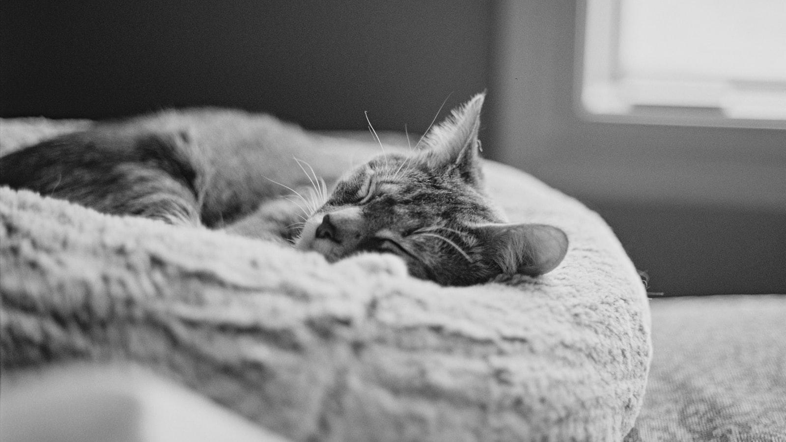 Ames defends Champions event title on birthday * Ames aims to retain Champions crown on special day