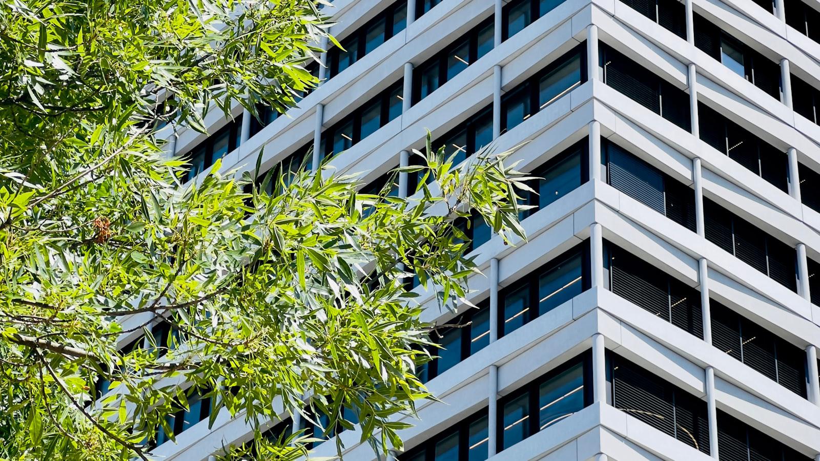 2024 Zurich Classic Thursday tee times: Round 1 groupings 2024 Zurich Classic Thursday Tee Times