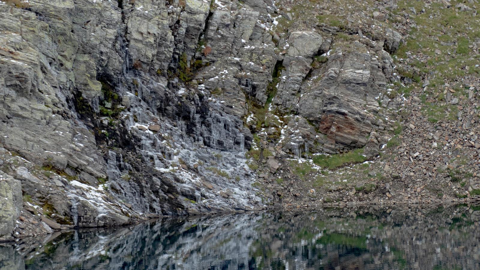 'F---ing bull----': LIV golfer rages after relatable tree trouble spoils round - Obstacles and Frustrations on the Course