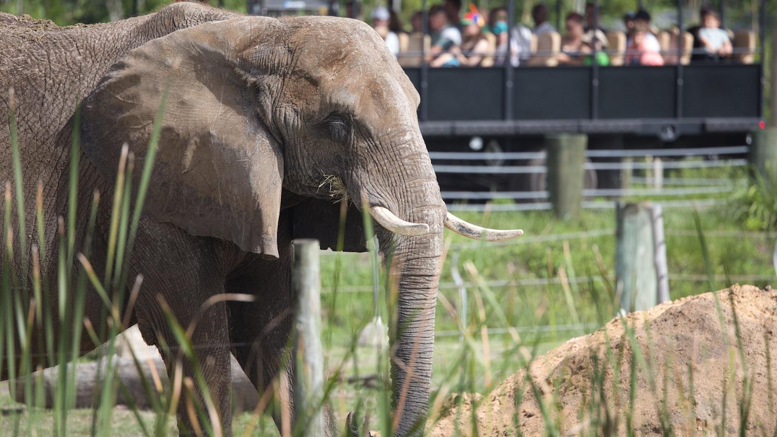 McIlroy-Lowry remain tied for Zurich Classic lead - Factors contributing to McIlroy-Lowry's success