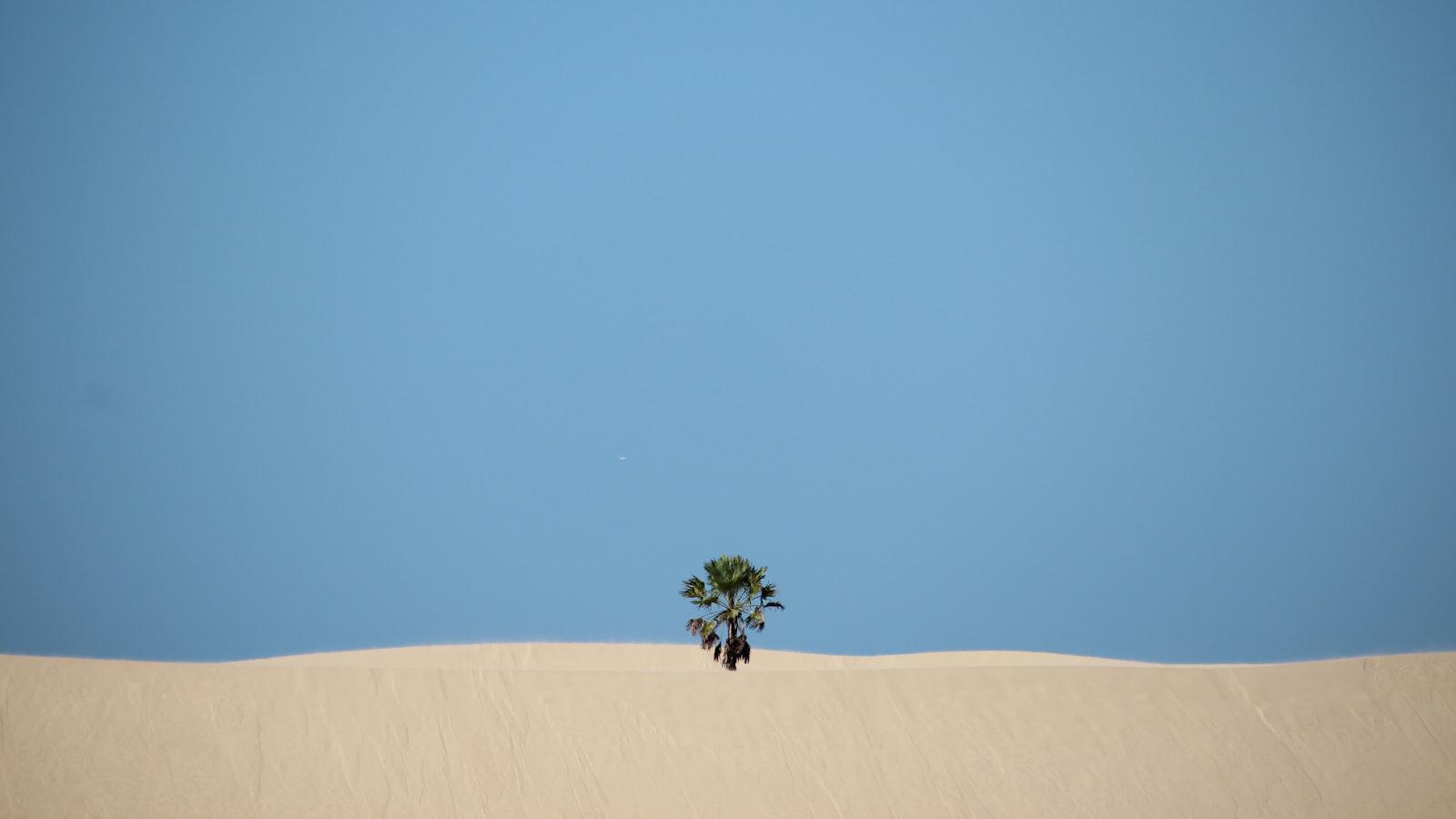 Man charged for delivering stolen Masters items - Investigating the Security Measures: Lessons from the Masters Theft