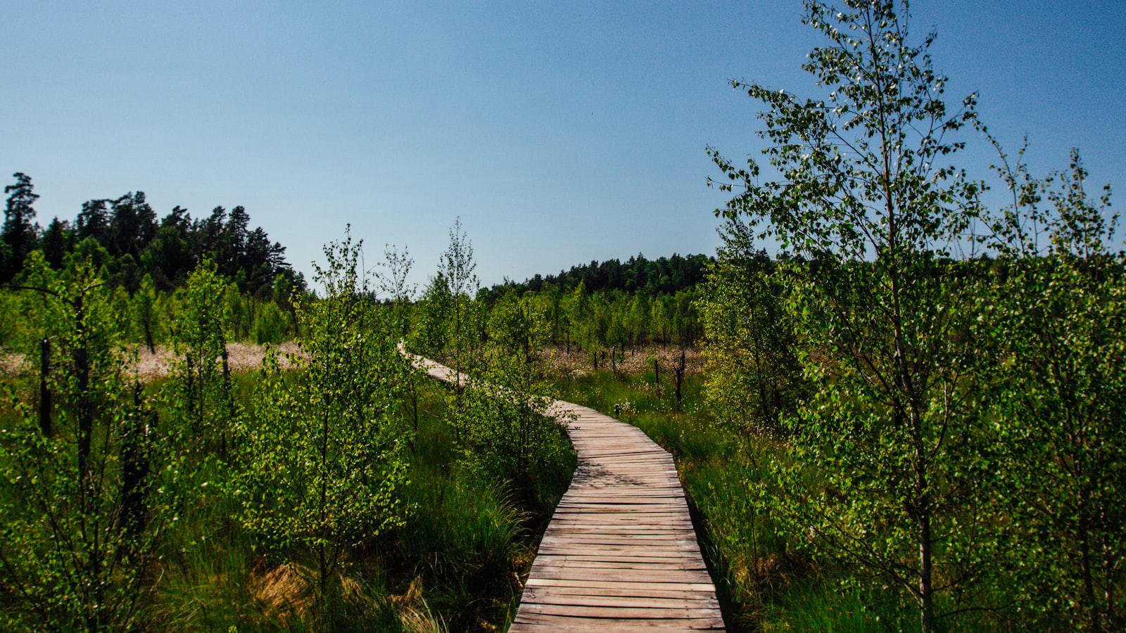 Is golf getting greener? Here's what the data says - Water Conservation: Exploring Innovative Green Measures on the Course