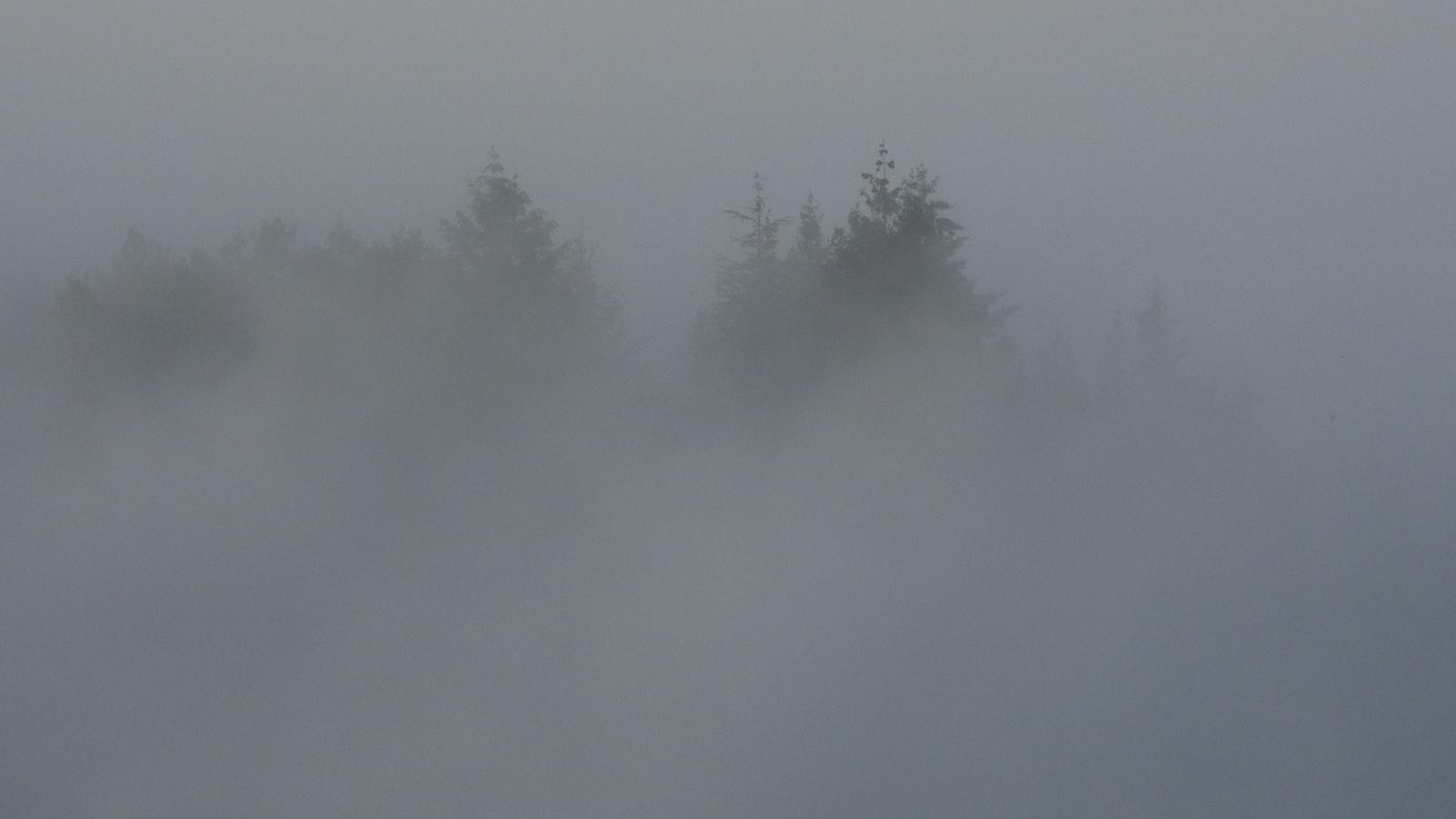 Nelly Korda's dominance continues, wins Chevron for 5th title in a row - Precision Iron Play Propels Korda's Success