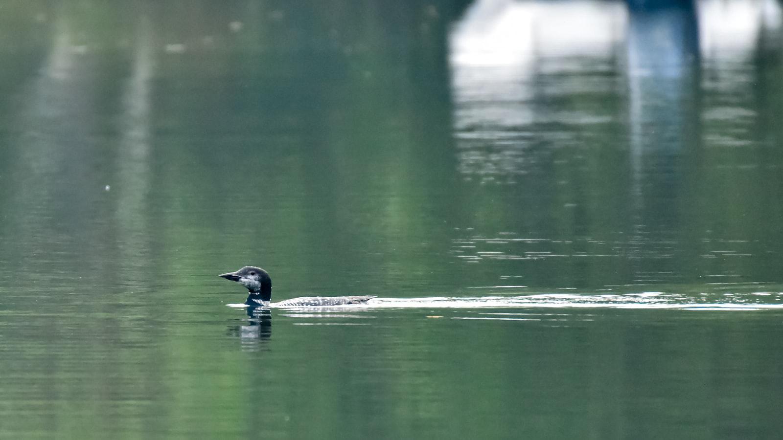 What it's like to stay in the Augusta Crow's Nest, according to the Masters low amateur **Perched Above Augusta's Majesty**