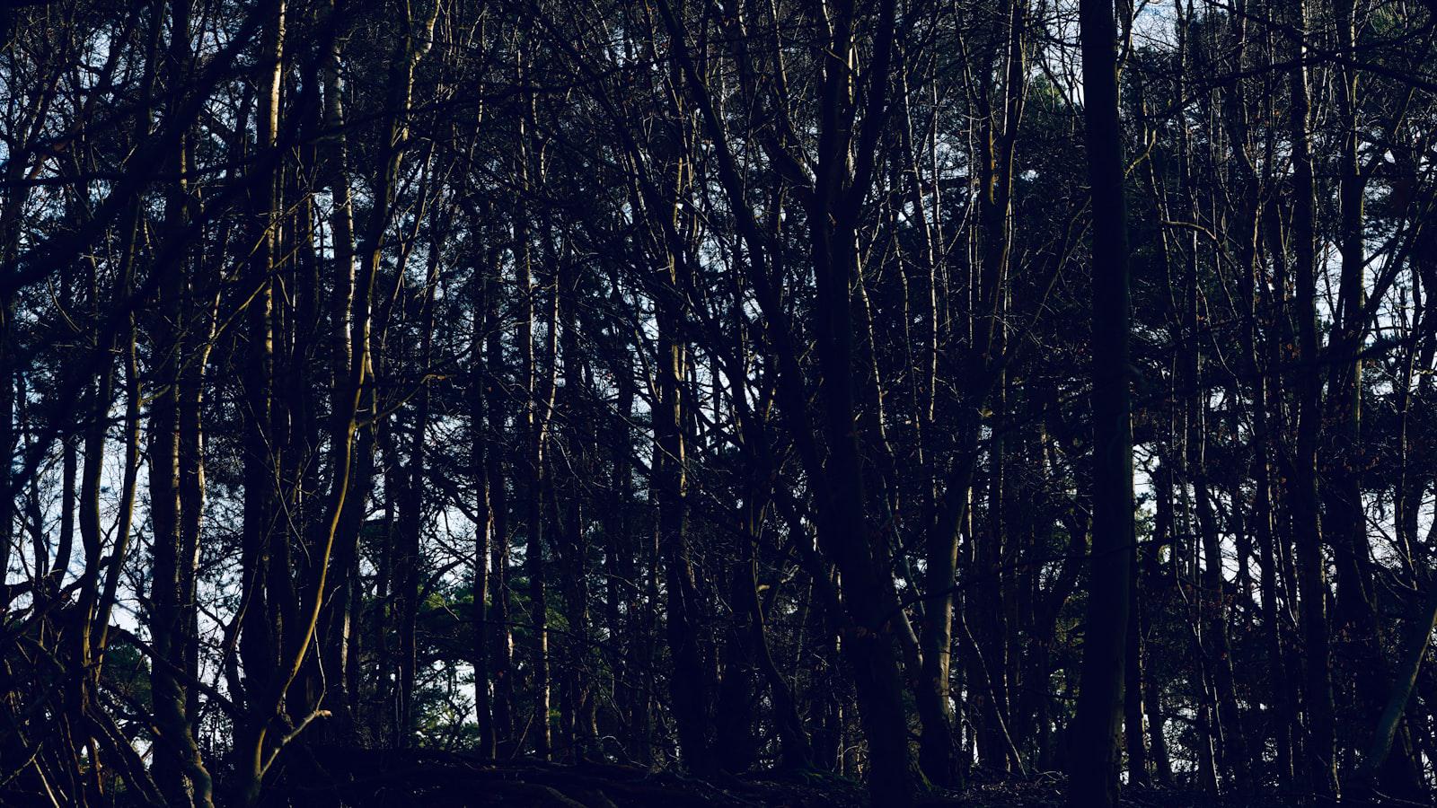 Examining the Emerging Friendship between Walker Buehler and Max Homa: An Exploration of Camaraderie and Competition Examining the Emerging Friendship between Walker Buehler and Max Homa: An Exploration of Camaraderie and Competition