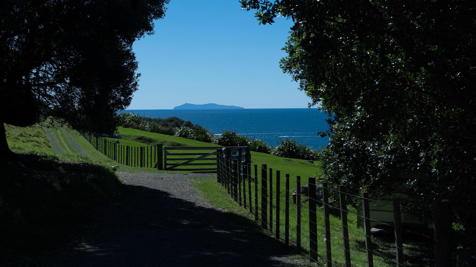 Masters week superlatives: most viral, most cranky, most famous | Rogers Report 1. The Most Viral Moments of Masters Week