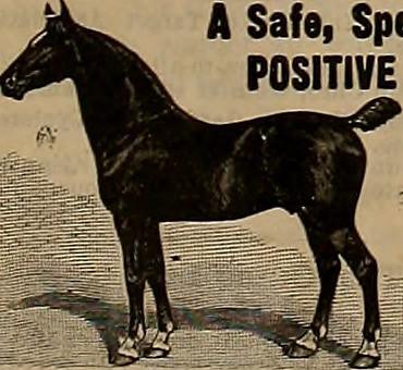 2024 CJ Cup Byron Nelson Thursday TV coverage: How to watch Round 1 Thursday TV Coverage Breakdown for CJ Cup Byron Nelson