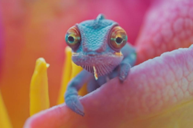 Enhance Your Golf Game with Lee Trevino’s Ultimate Guide to Performance Improvement