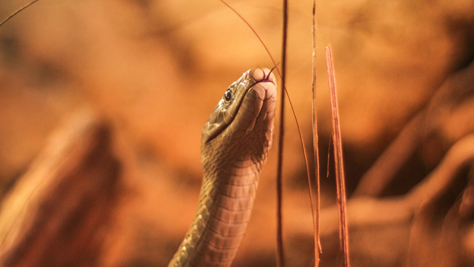 Take a peek inside Cobra's new Tour truck | Fully Equipped - Unboxing Cobra's Fully Equipped Tour Truck: A Detailed Look