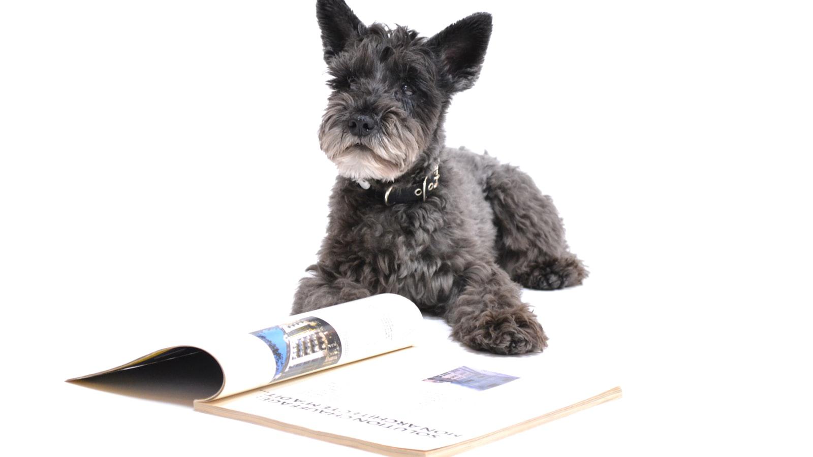 Scottie Scheffler is dominating the PGA Tour. This rising star is chasing him Scottie Scheffler is dominating the PGA Tour. This rising star is chasing him