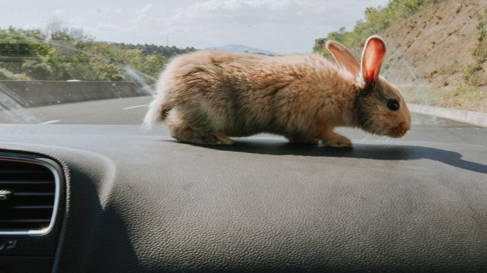 Peter Thomson Golf Lesson: Enhancing Performance through Expert Tuition Peter Thomson Golf Lesson: Enhancing Performance through Expert Tuition