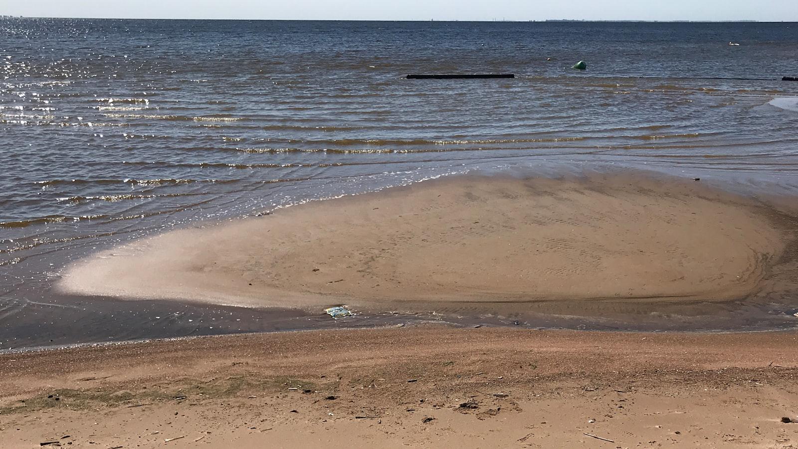 NBA star-backed TGL entry boasts Aberg, Clark Impact of Experienced Players on TGL's Success