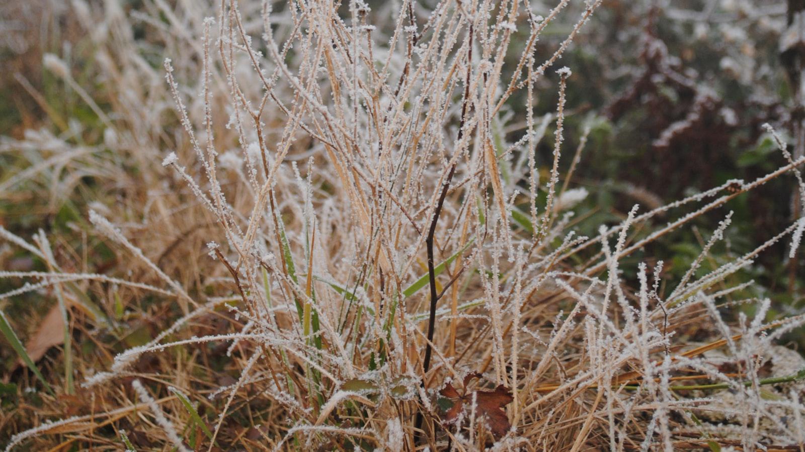 Dean blacked out during his apology rap #Community #DeanPelton #JimRash #Shorts - Dean Pelton's Apology Rap: A Community Controversy Unfolds