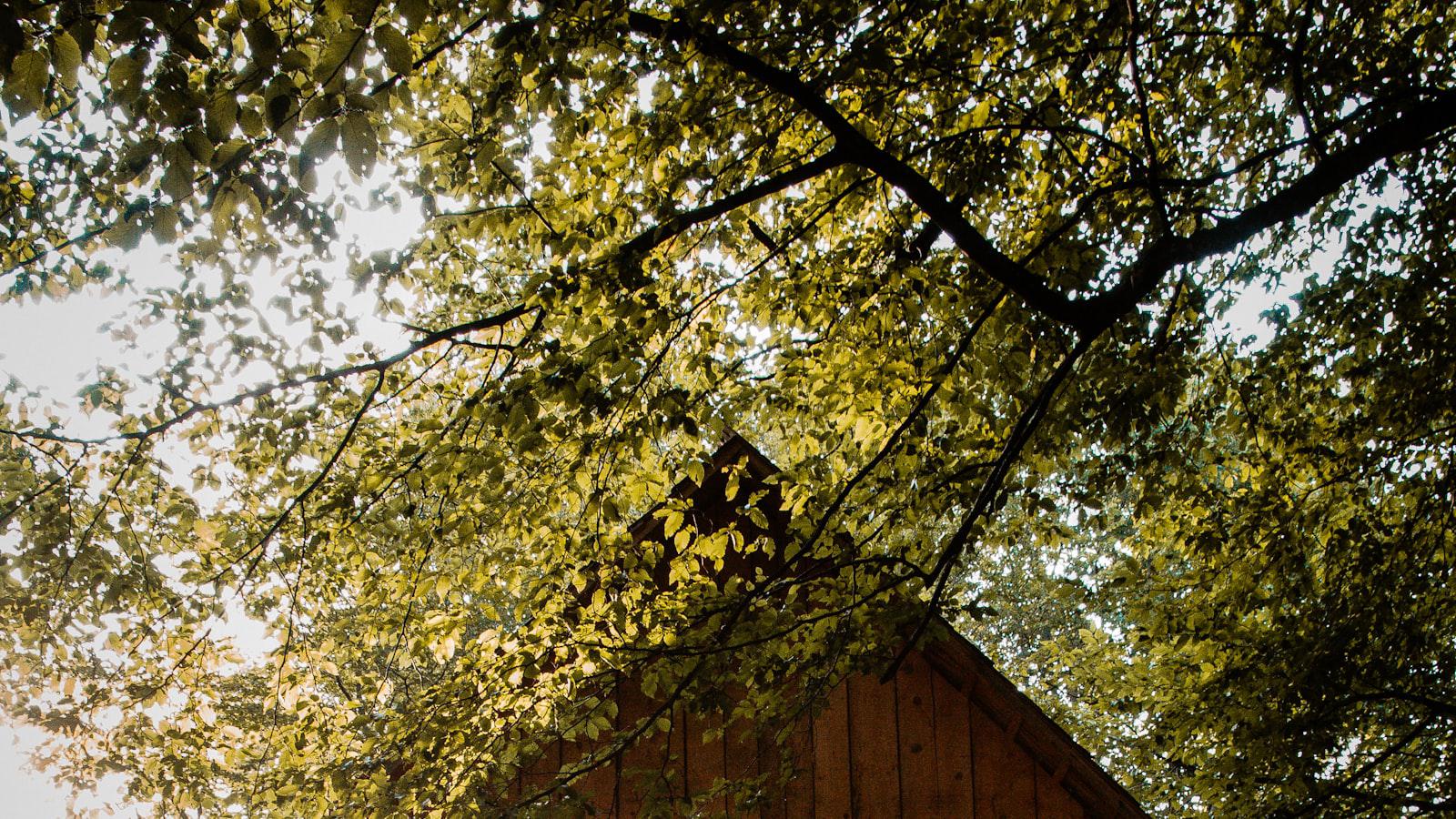 The CJ Cup Byron Nelson purse: Payout breakdown, winner's share - Byeong Hun An rises as a contender