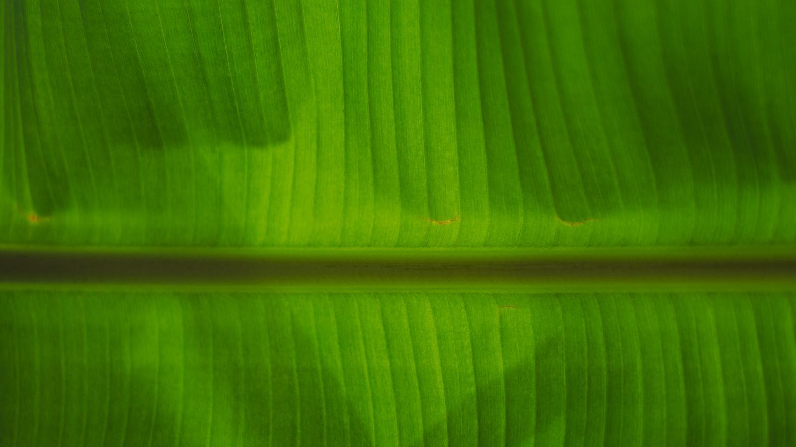 Innovative Golf Techniques for Enhanced Shot Execution: A Comprehensive Examination - The Art of Short-Game Artistry and Green-Reading Proficiency