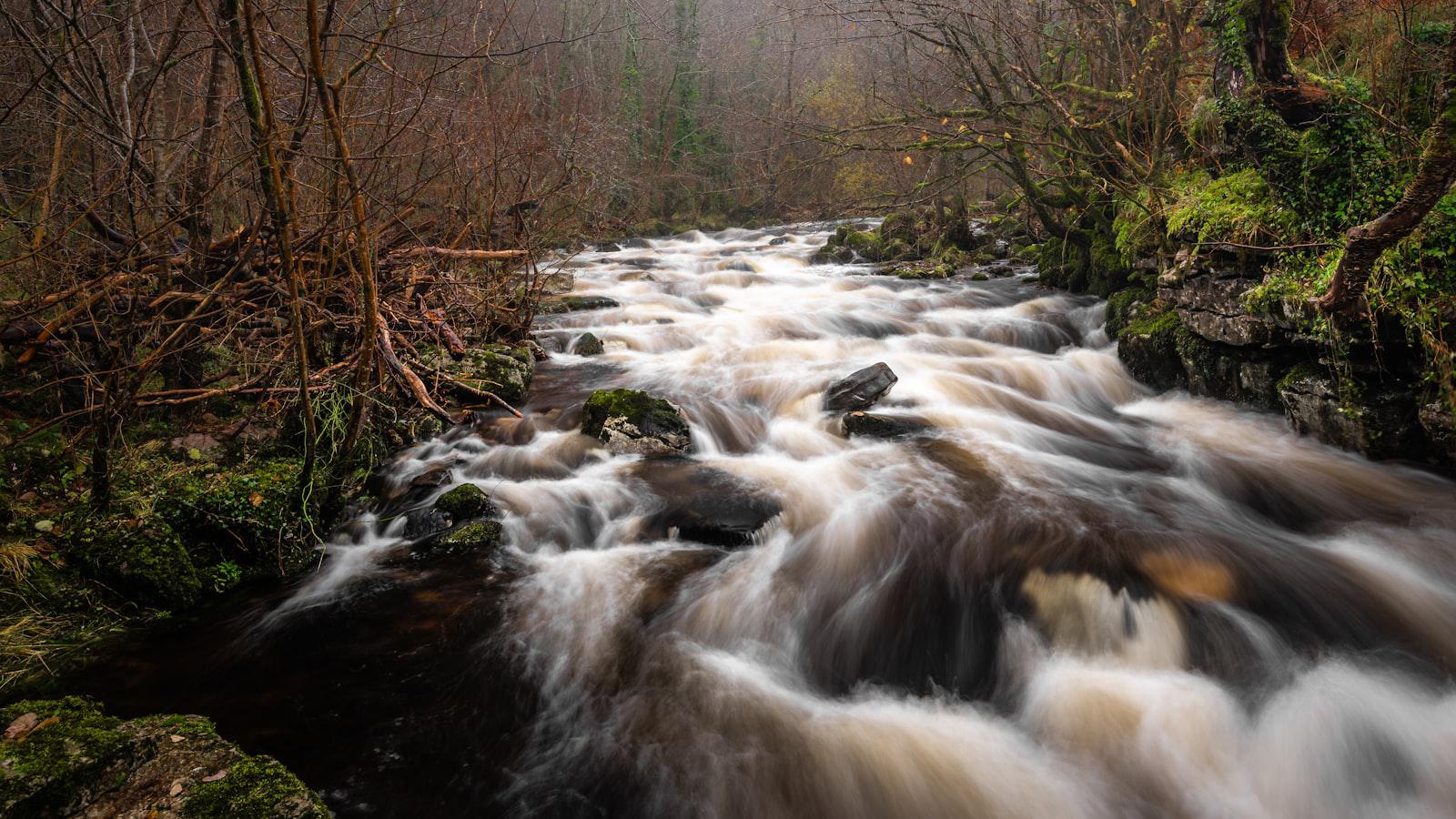 The Impact of Longevity in Golf: Jerry Kelly's Historic Achievement at The Players The Impact of Longevity in Golf: Jerry Kelly's Historic Achievement at The Players