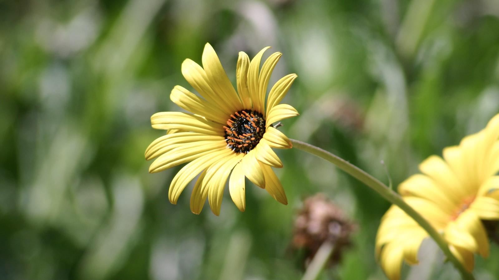 Lee Trevino gave Ben Crenshaw ball-striking advice that all golfers should heed - Crenshaw's Grip and Setup: Establishing a Solid Foundation