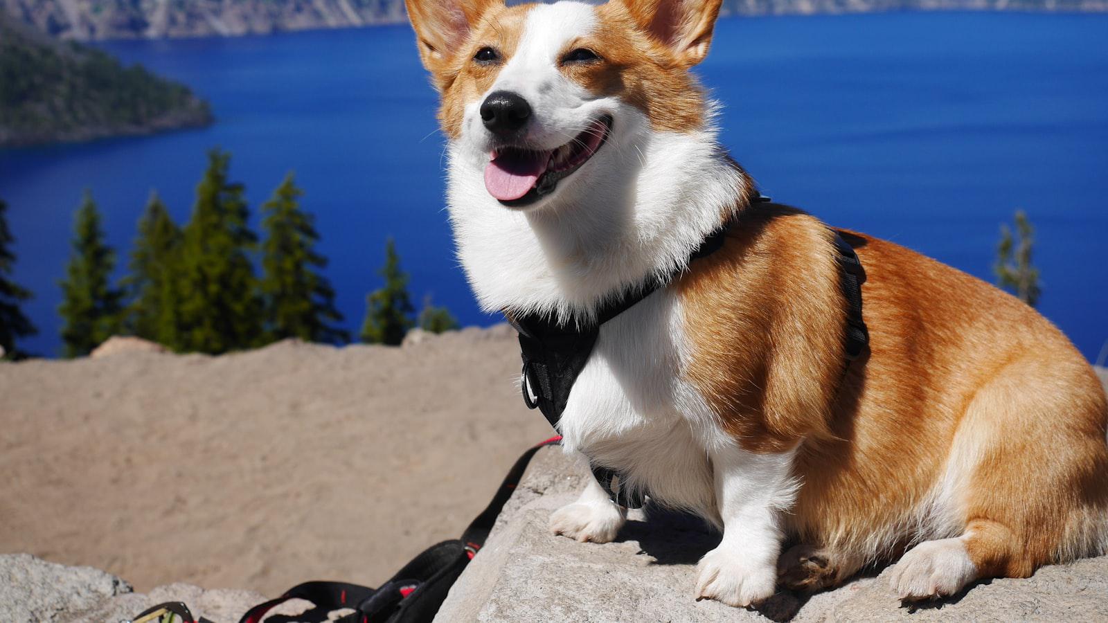 Bandon Dunes at 25: The groundbreaking Oregon resort keeps getting bigger (and better) A Unique Golf Destination on the Rugged Oregon Coast