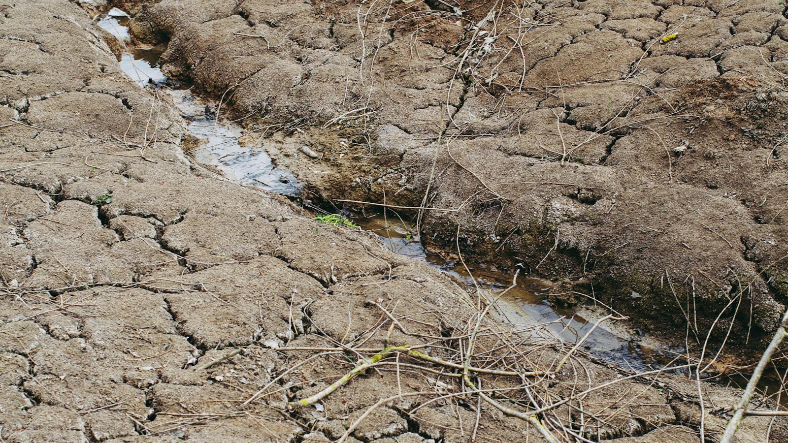 Chip Mastery: Enhancing Accuracy and Trajectory Control in Golf - Understanding Ground Resistance: Overcoming Unpredictable Yardages