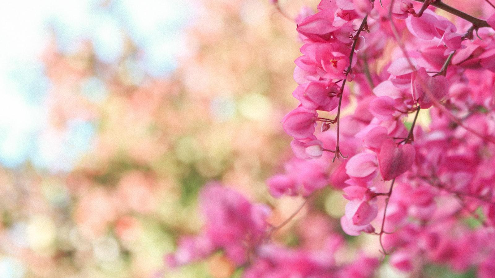 Raymond Floyd Golf Lesson: Unlocking the Secrets of Swing Mechanics and Mental Mastery Raymond Floyd Golf Lesson: Unlocking the Secrets of Swing Mechanics and Mental Mastery