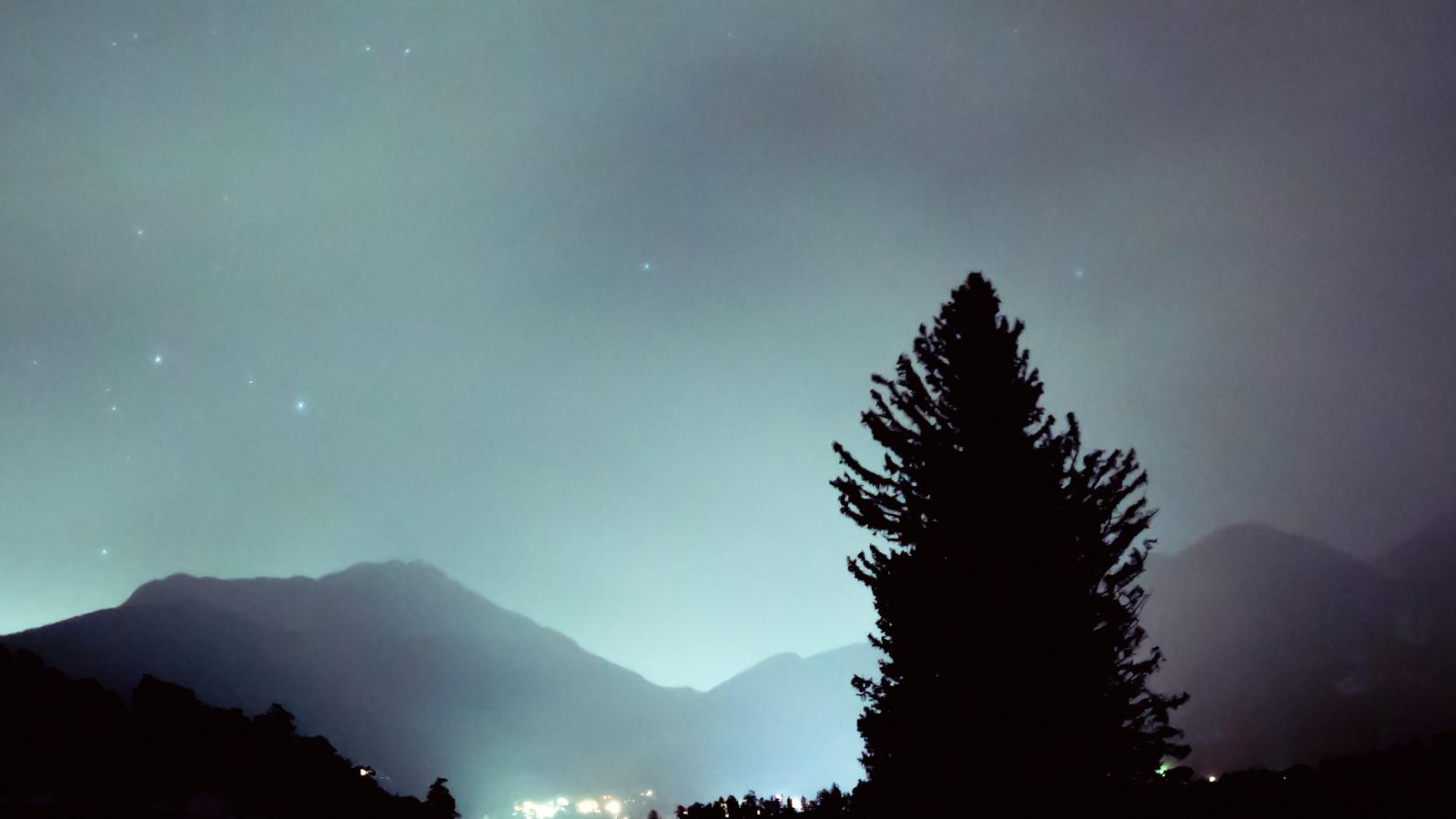 Scottie Scheffler is dominating the PGA Tour. This rising star is chasing him Analyzing Scheffler's Meteoric Rise and Chasing Star