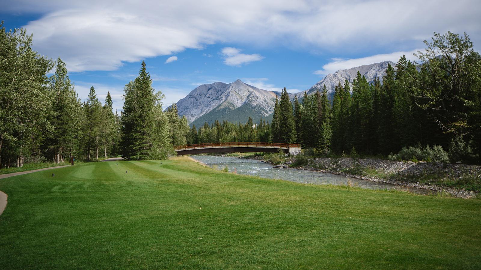 Perceptive rules question by caddie unlocks Tour pro’s ‘dead zone’ relief Tour Pro's Relief Breakthrough