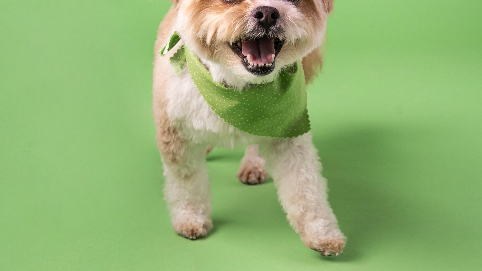 Chip Mastery: Enhancing Accuracy and Trajectory Control in Golf - Targeted Practice Regimens: Developing Muscular Memory for Precision