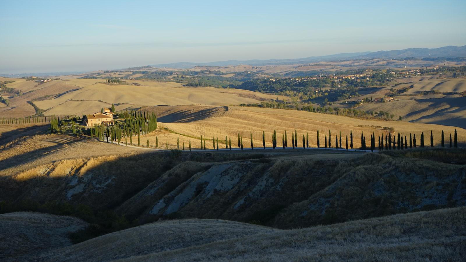 Wyndham Clark: Inside the Rise of the Nashville-Based Singer-Songwriter - Wyndham Clark's Meteoric Rise: Unlocking the Factors Behind the Singer-Songwriter's Triumph