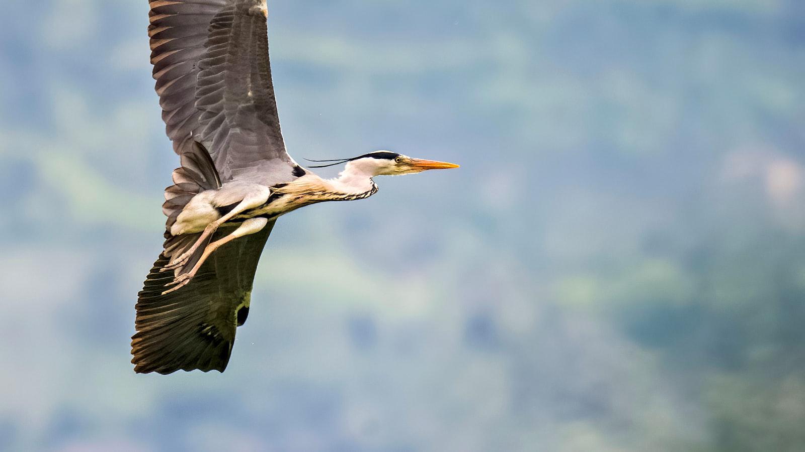 Wyndham Clark: Inside the Rise of the Nashville-Based Singer-Songwriter - Personal Reflections and Hope for the Future: Wyndham Clark's Perspectives on Passion and Perseverance