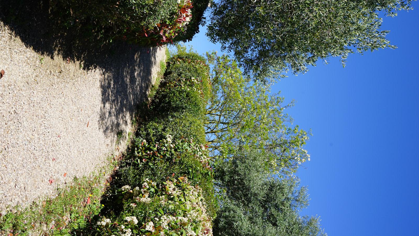 Making moves: LIV allows teams to trade players Making moves: LIV allows teams to trade players