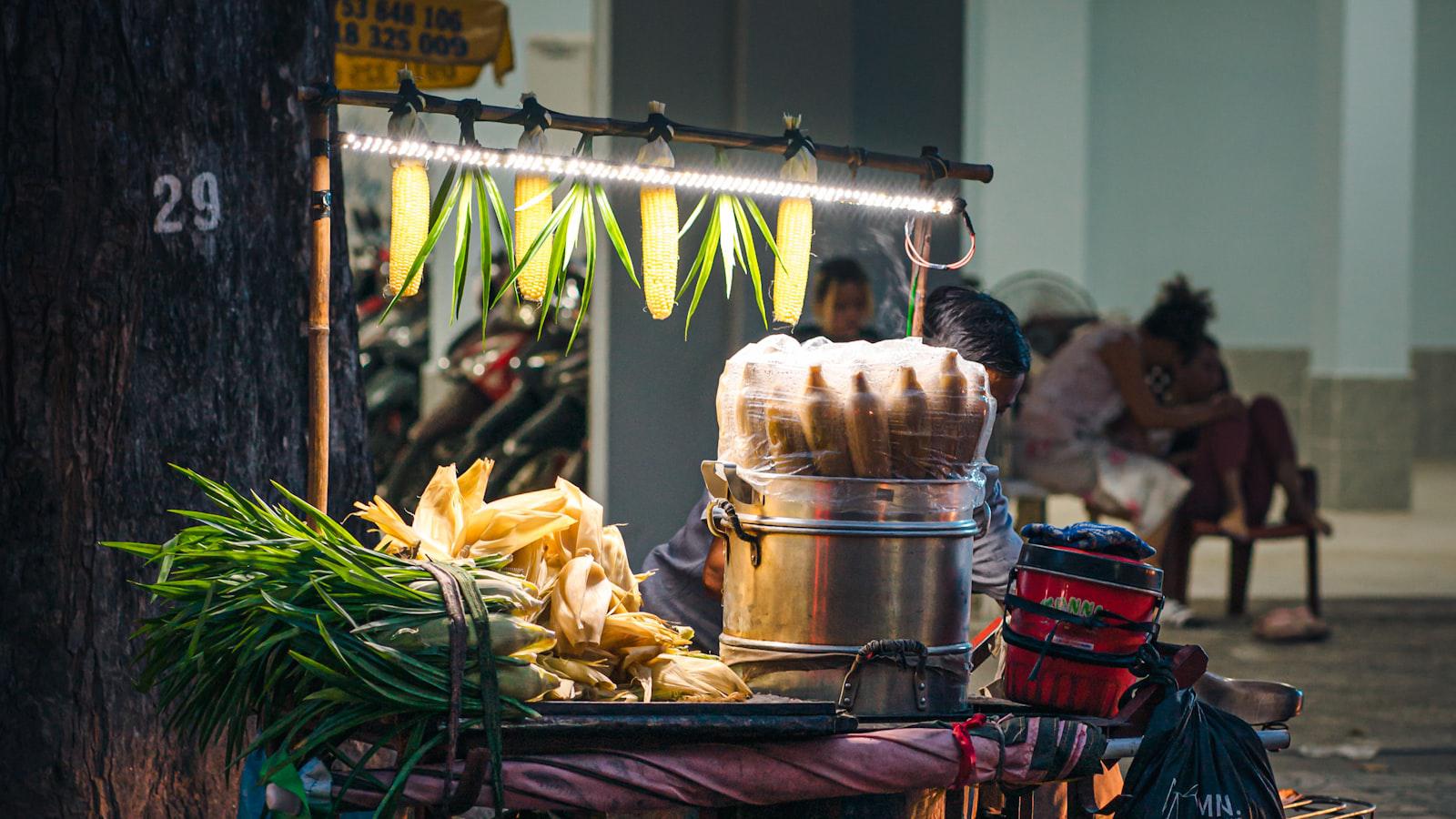 Wyndham Clark: Inside the Rise of the Nashville-Based Singer-Songwriter - Navigating the Road to Success: Lessons from Wyndham Clark's