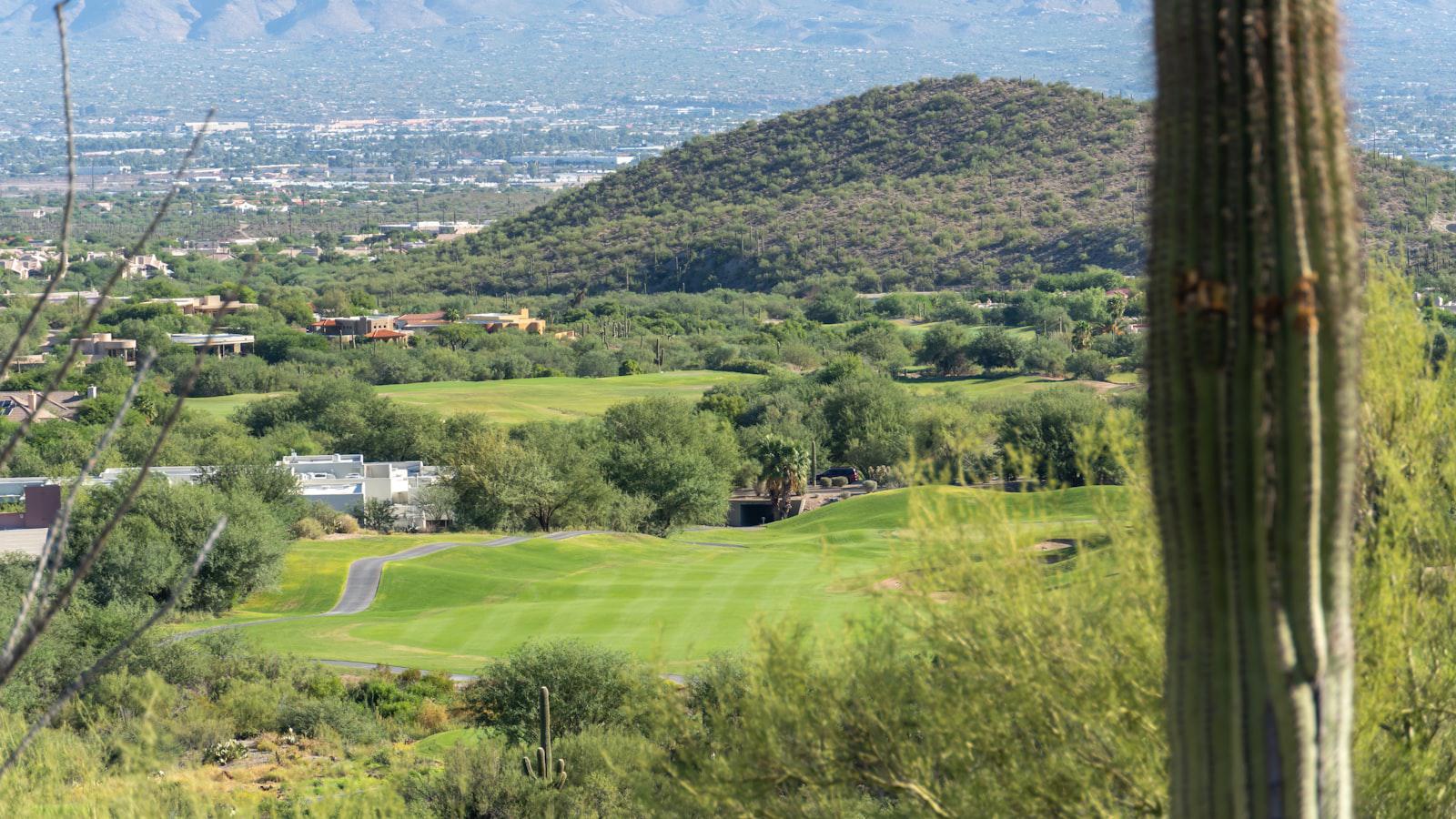 Jordan Spieth's drive goes awry. Then a fan gets a $20, a ball and a welt - Errant Arc: Golf ball lands with an unwelcome impact